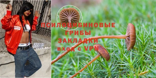 сатива Абинск