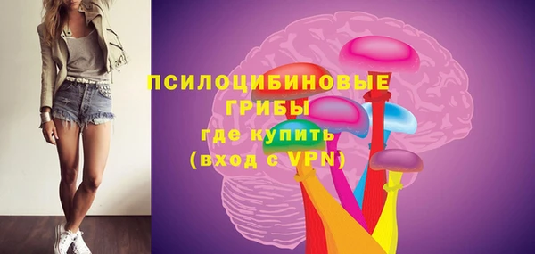 сатива Абинск