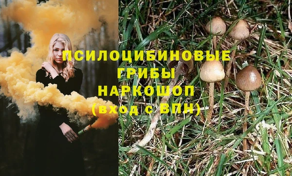 сатива Абинск