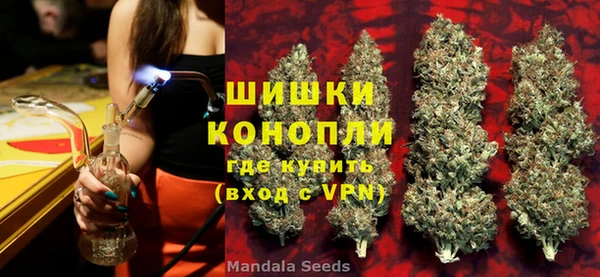 сатива Абинск