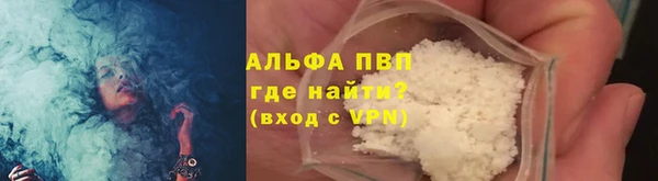 сатива Абинск