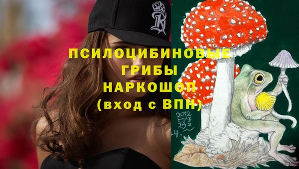 сатива Абинск