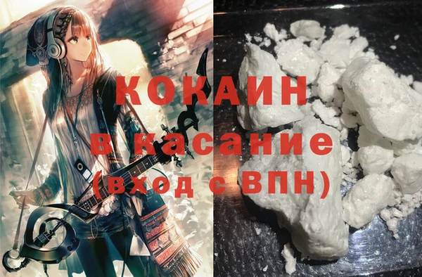 сатива Абинск