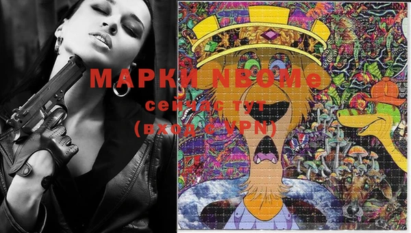 сатива Абинск
