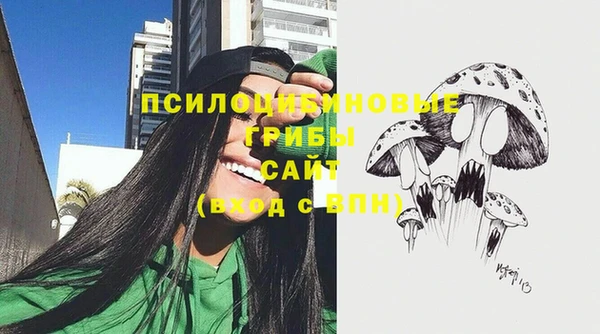 сатива Абинск