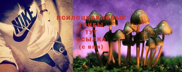 прущая мука Корсаков