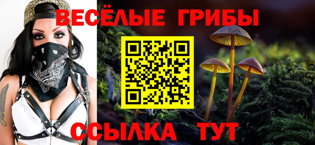 Норильск  Псилоцибиновые грибы прущие грибы  наркота  Вход с VPN 